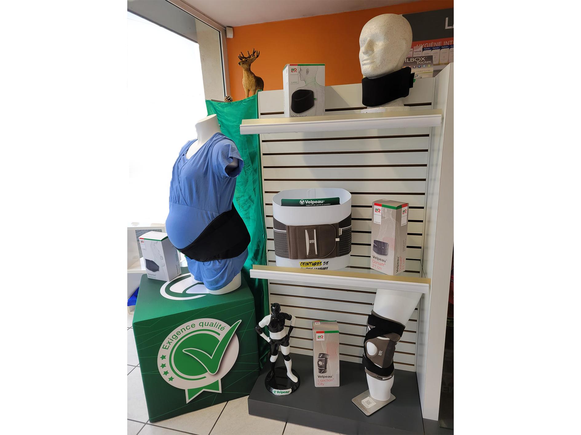 Vitrine Orthopédie